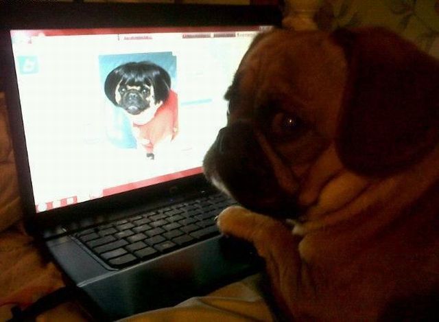 Morning Picdump