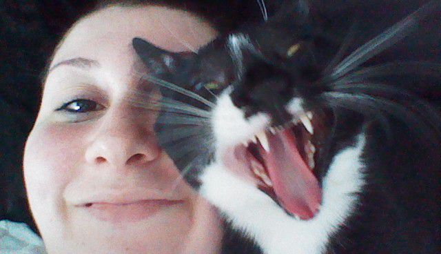Daily Picdump