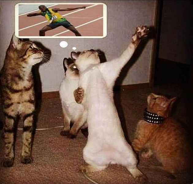 Daily Picdump