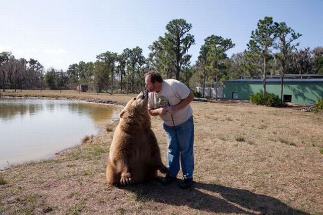 Morning Picdump