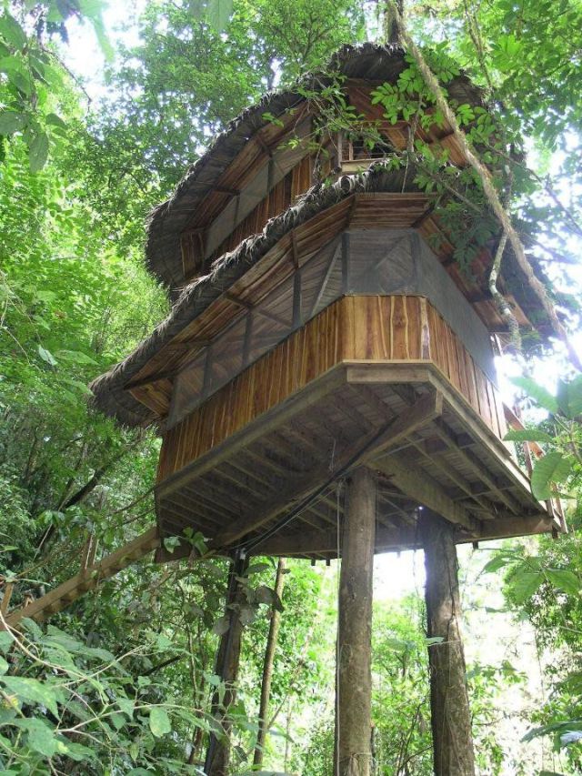 Fantastic Treehouse Village in Costa Rica