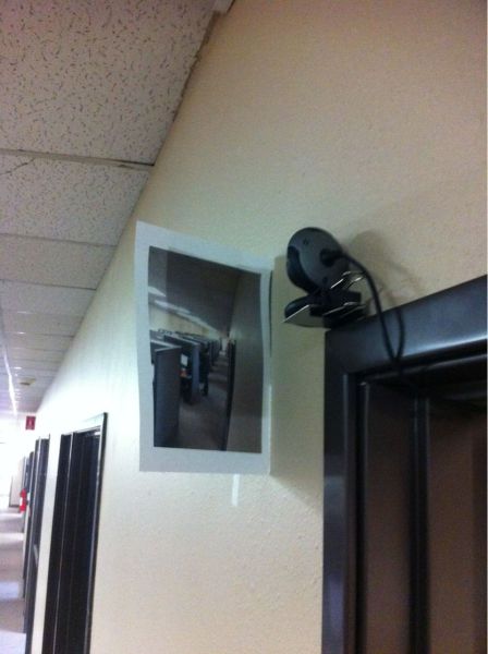 Morning Picdump