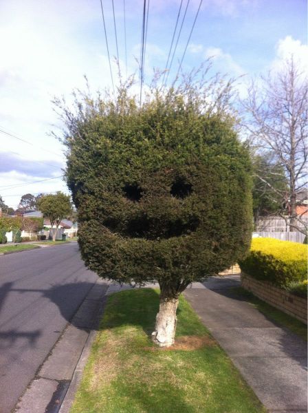 Morning Picdump