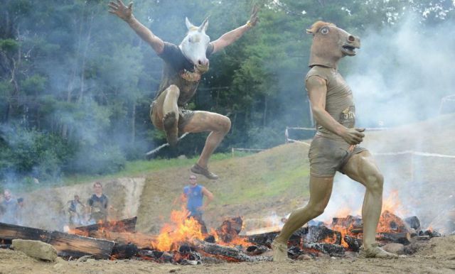 Morning Picdump