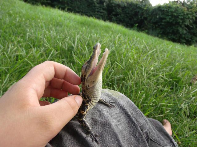 Morning Picdump