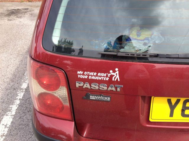 Morning Picdump