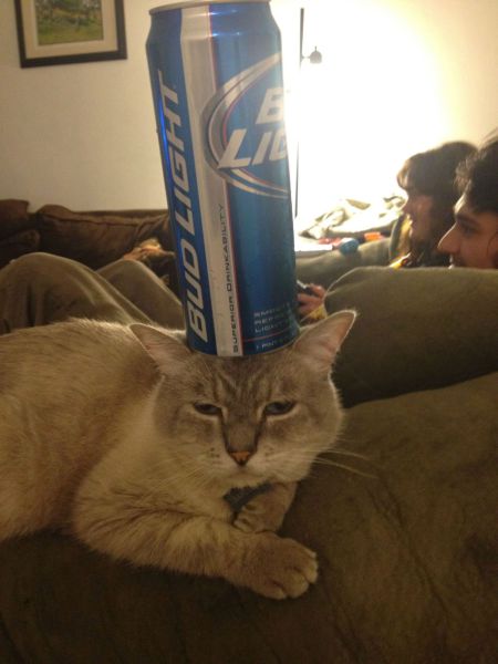 Daily Picdump