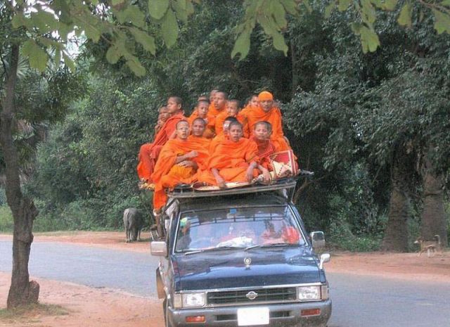 Daily Picdump