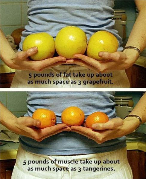 A Megapack of Motivational Pics for Your Workouts