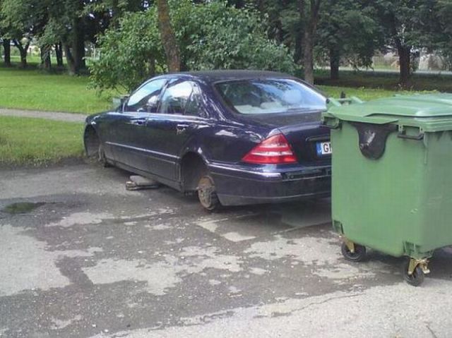Morning Picdump