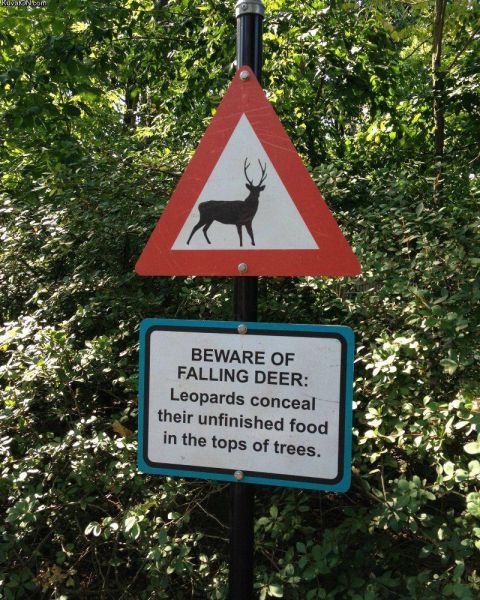 Morning Picdump