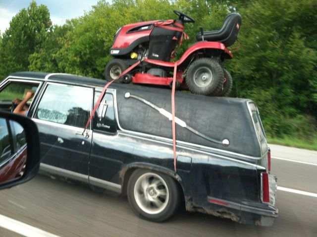 Morning Picdump