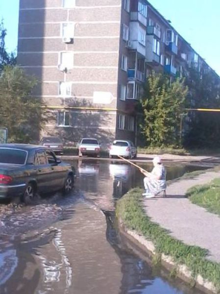 Morning Picdump