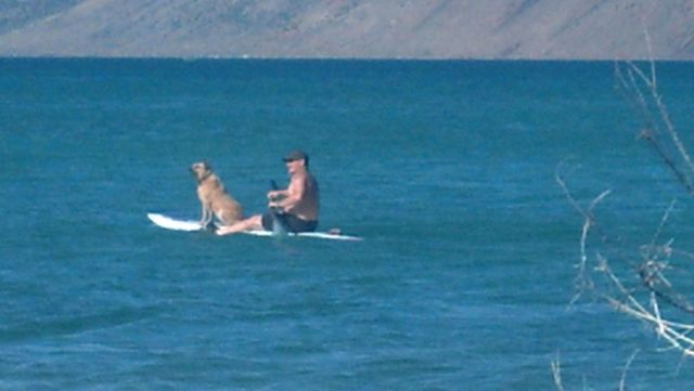Daily Picdump