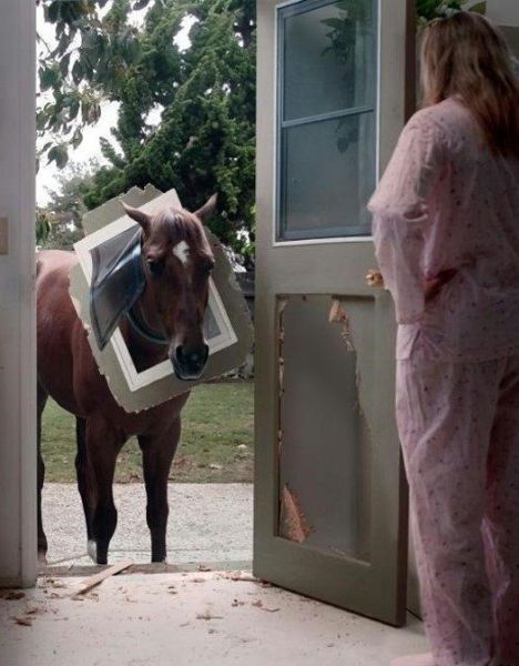 Morning Picdump