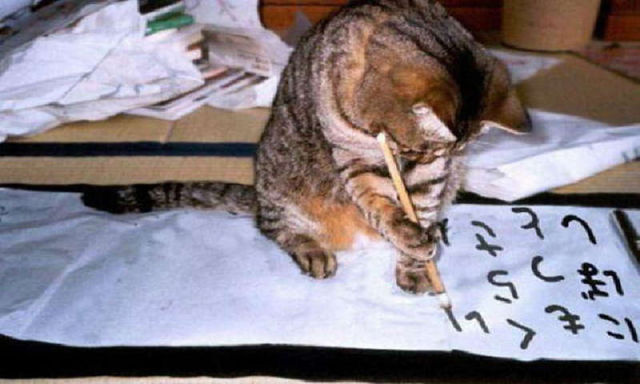 Funny Animals That Are Hungry for Knowledge (25 pics) - Picture #15