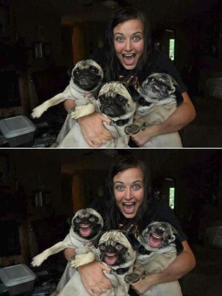 Morning Picdump
