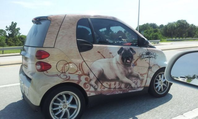 Morning Picdump