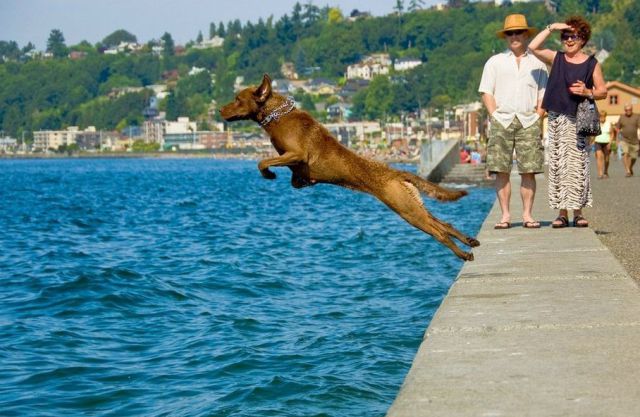 Morning Picdump