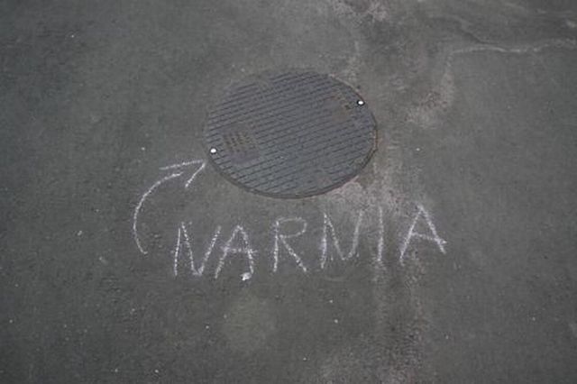 Morning Picdump