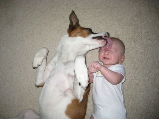 Morning Picdump