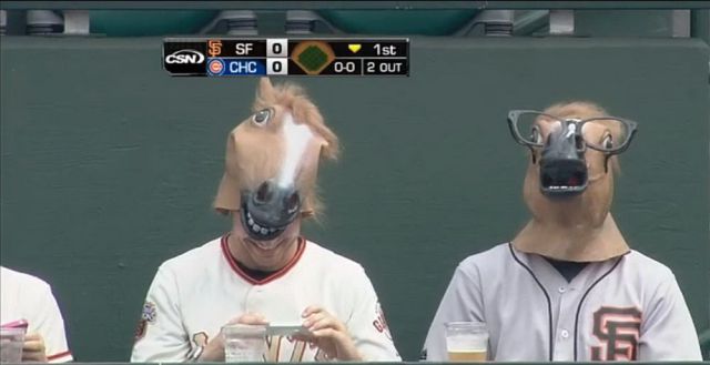 Morning Picdump