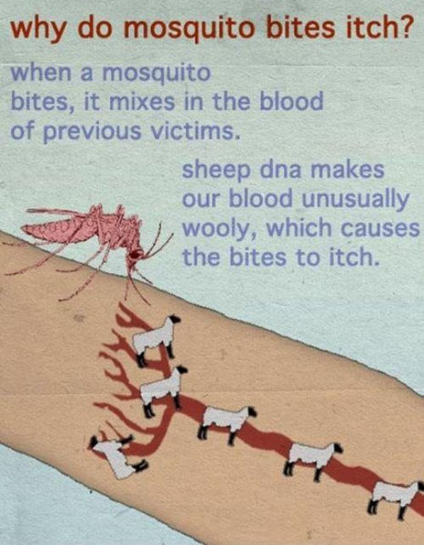 The Internet Never Lies. Part 4
