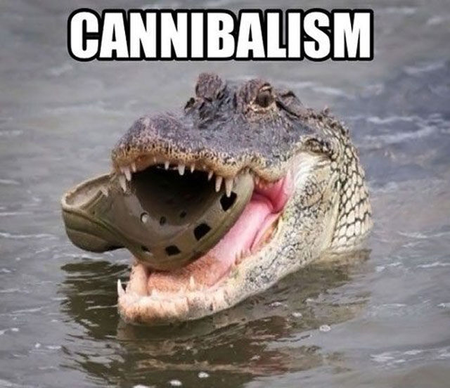 The Internet Never Lies. Part 4