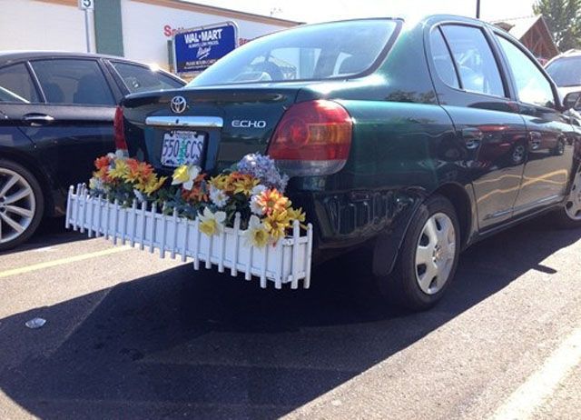 Daily Picdump [WEEKEND EDITION]