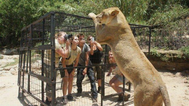 Daily Picdump