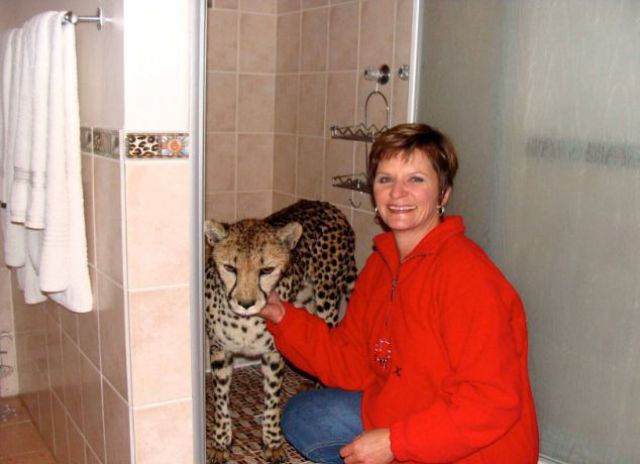 South African Family Keeps a Pet Cheetah