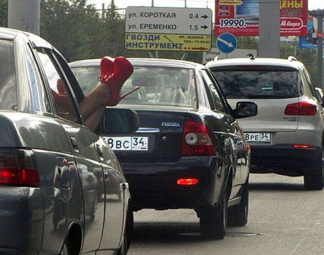 Morning Picdump