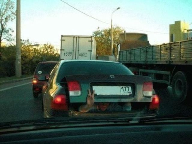 Morning Picdump