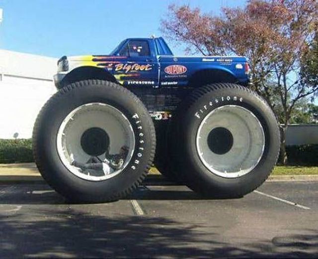 Daily Picdump