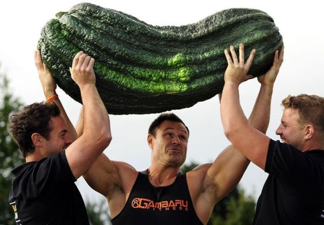 Daily Picdump