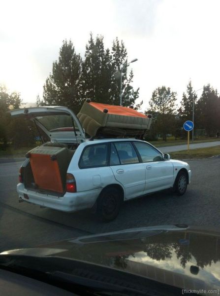 Daily Picdump