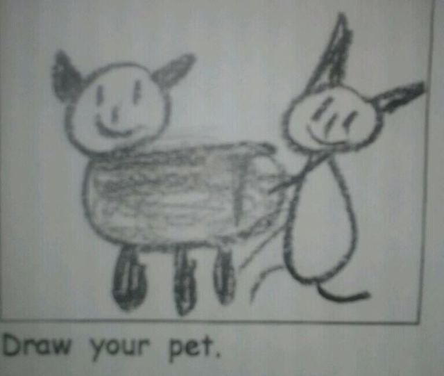 Daily Picdump