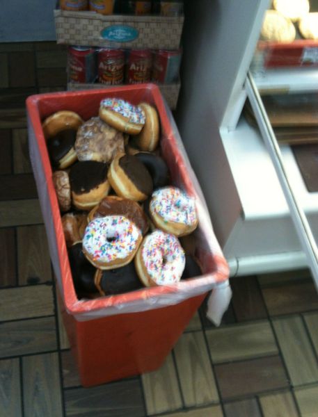 Morning Picdump