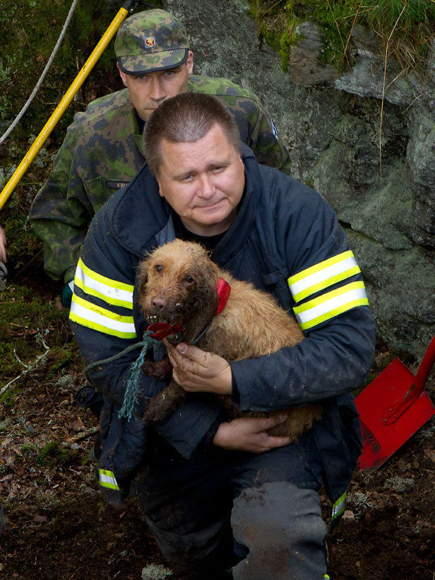 Dogs Saved After Being Trapped for Two Days