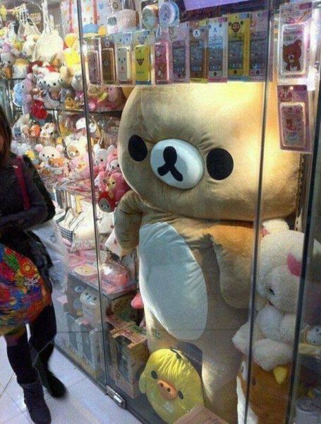 Morning Picdump