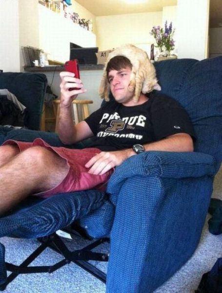 Morning Picdump
