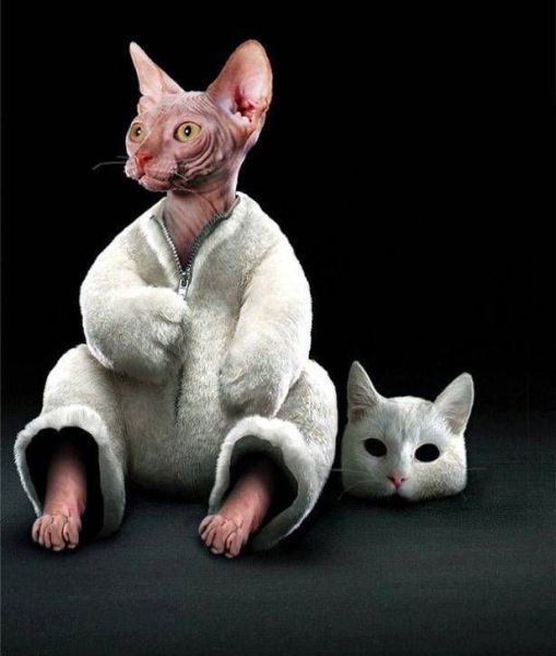 Morning Picdump