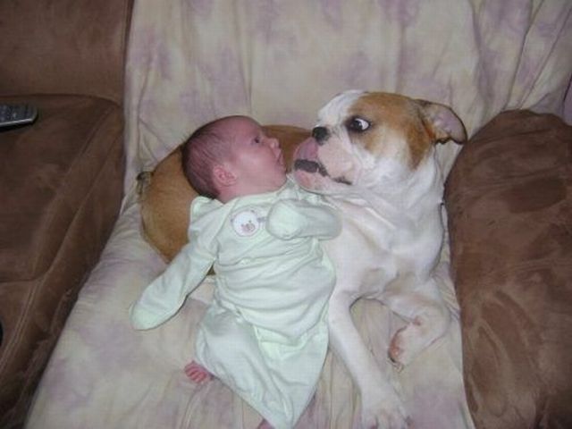 Morning Picdump