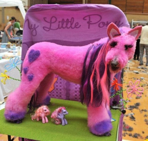 Morning Picdump