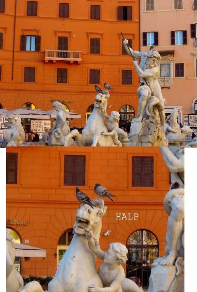 Morning Picdump