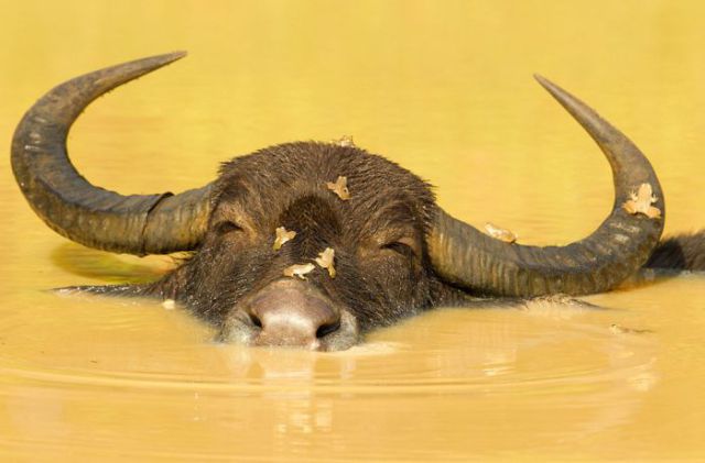 Cool Pics from 2012 National Geographic Photo Contest
