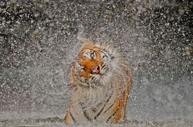 Cool Pics from 2012 National Geographic Photo Contest