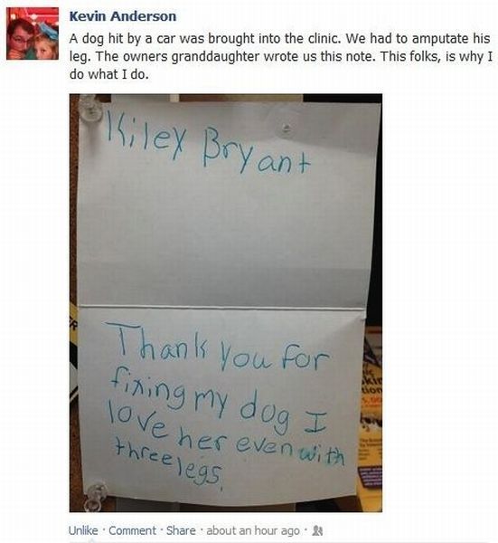 Morning Picdump