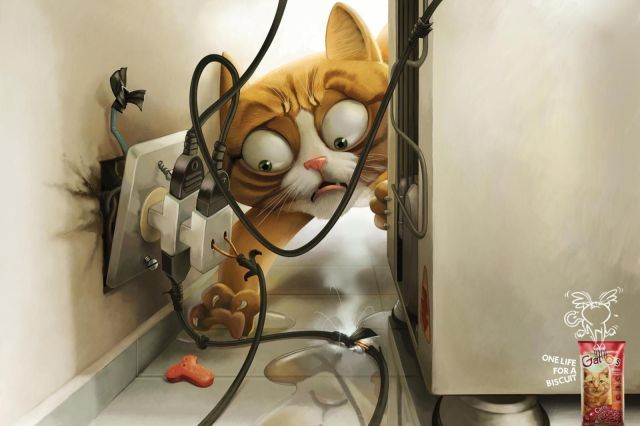Morning Picdump