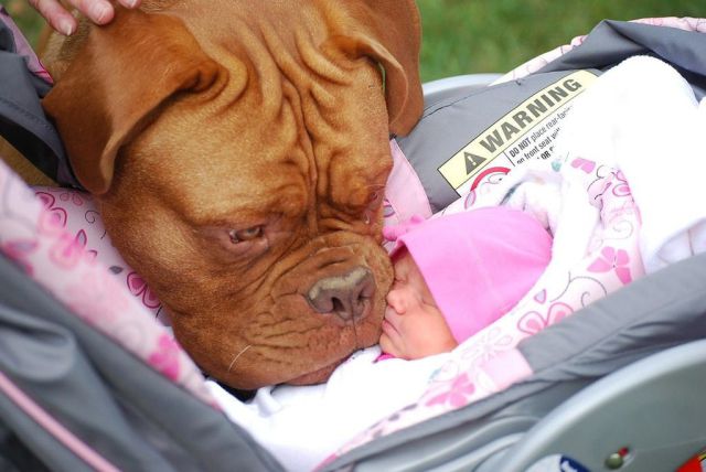 Morning Picdump